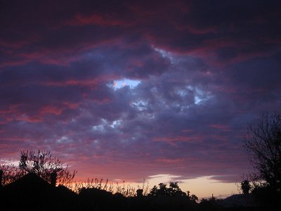 evening%20sky.jpg