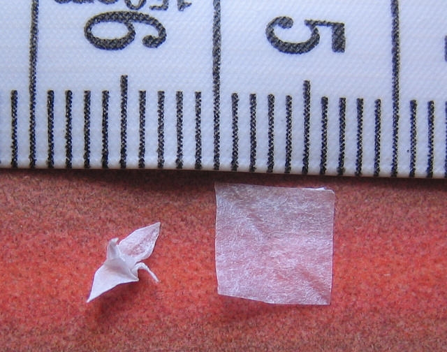 crane_from_6mm_square_tissue_paper_001.jpg
