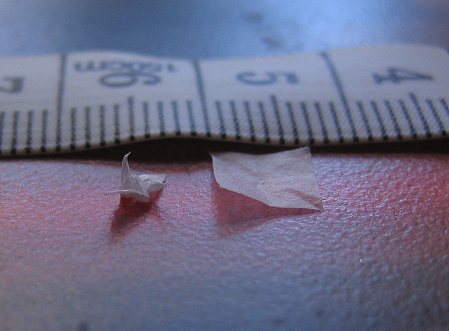 crane_from_6mm_square_tissue_paper_002.jpg