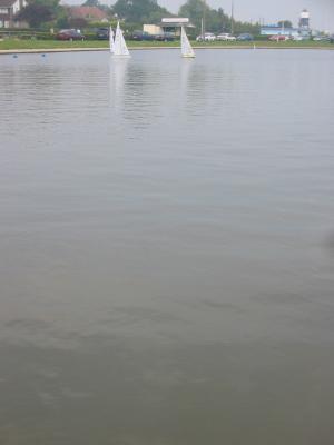 tWallace_001_136.jpg