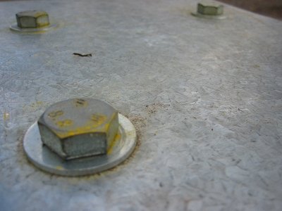 berney%20the%20bolt.jpg