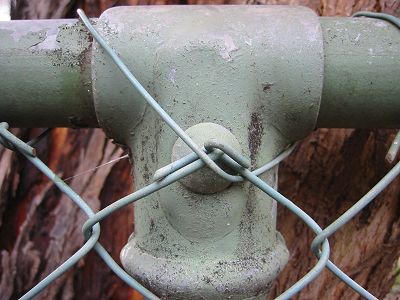 fence%20and%20iron%20bark.jpg
