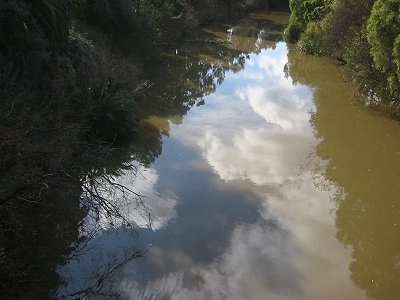 muddy%20waters.jpg